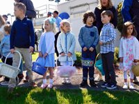 Social